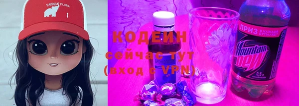 сатива Арсеньев