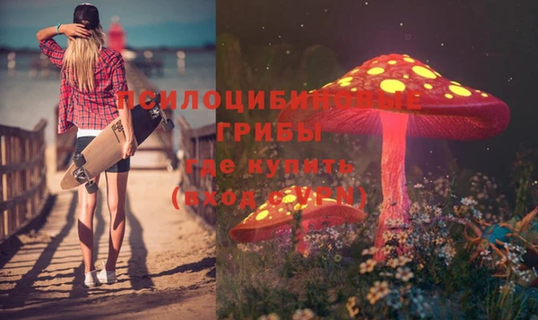 прущие крисы Алзамай