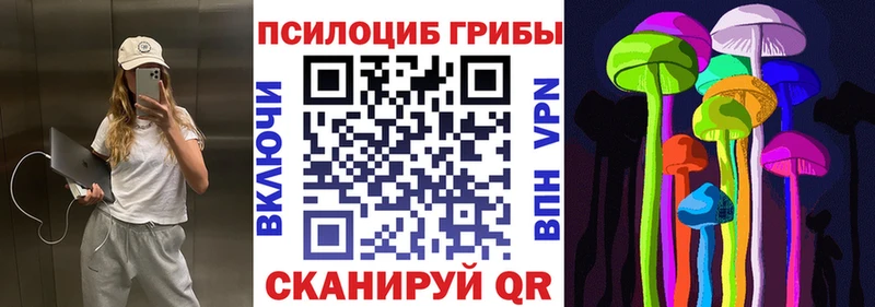 цена наркотик  Аркадак  гидра ССЫЛКА  Галлюциногенные грибы Magic Shrooms 
